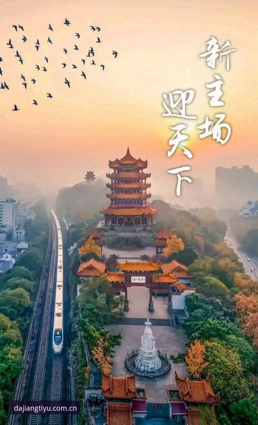 大江体育功能详解：从数据服务到互动体验的全方位解析